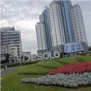 Madrelingua spagnola impartisce lezioni di spagnolo da casa