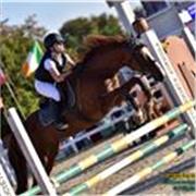 Studentessa universitaria offre ripetizioni di inglese a tutti i livelli