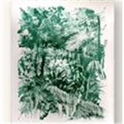 Cours de représentation picturale ; Introduction au dessin et à la peinture.