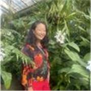 English teacher for all levels, with an emphasis on conversation. 