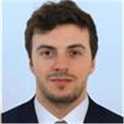 Insegnante di inglese, studente di economia in università, con piena padronanza della lingua inglese