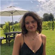 I am a native English speaker with a TEFL certificate and experience in teaching English as a foreign language