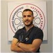 I am a dedicated and patient Arabic–English teacher with a passion for helping students of all ages improve their language skills