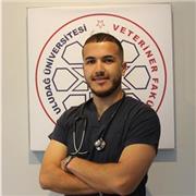 I am a dedicated and patient Arabic–English teacher with a passion for helping students of all ages improve their language skills