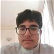 Teaching Mathematics and/or Physics at the GCSE/Pre-GCSE level as an A-Level Student