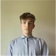 Studente liceale impartisce lezioni di Inglese (grammatica e/o letteratura)