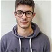 Studente di ingegneria offre lezioni private a ragazzi delle scuole medie e superiori, adattandole alle loro esigenze