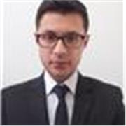 Profesional en ingeniería con conocimientos en matemáticas, interesado en la enseñanza académica