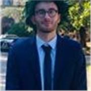 Dottore in Ingegneria Elettronica impartisce lezioni di matematica