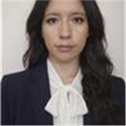 Asesoramiento en matemáticas básicas para primaria y secundaria