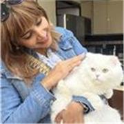 Insegnante multilingue con esperienza 📝. If you need a well-organized and qualified teacher I am here for you