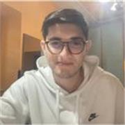 Studente in ingegneria offre lezioni di matematica