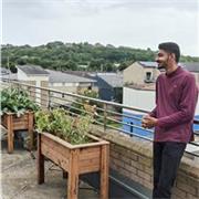Mohit