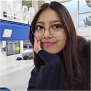 Clases de matemáticas para secundaria - Explicación precisa paso a paso