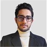 Experienced English-Speaking STEM Tutor Offering Math, Physics, and Science Lessons for School and University Students