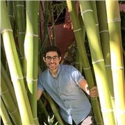 Doy clases adaptadas al nivel y necesidades individuales