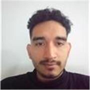 Profesor de matematicas para primaria y secundaria, Profesor de fisica para secundaria
