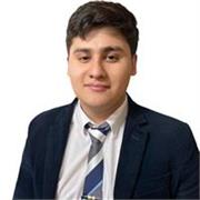 Profesor Particular Online de Programación