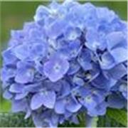 Maths teacher, with an advanced degree in Engineering, and experience in teaching students as a part of The Access Project.