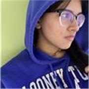 Computer Science Absolvent bietet Online-Unterricht in Mathematik, Programmierung und Computergrundlagen für Schüler und Anfänger