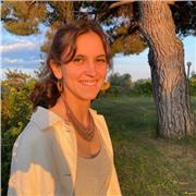 doy classes particulares primaria, eso y bachillerato