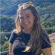 Profesora de primaria y ESO
Matemáticas, Física, Química...