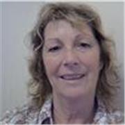 Friendly Business and General English Teacher for Adults 