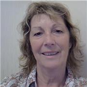 Friendly Business and General English Teacher for Adults