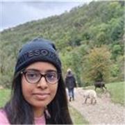 Mathematics, science and engineering design tutor