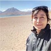 Profesor/a de inglés en modalidad online