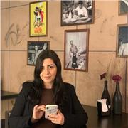 Ripetizioni di inglese, francese, italiano