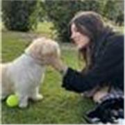 Doy clases particulares de inglés a niños de primaria. Acabo de terminar 2° de bachillerato con media de 8,5. Tengo un nivel B1