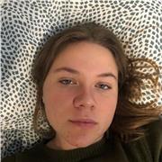 Cours d’anglais (primaire-collège-lycée)