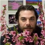 Aris