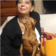 Fornisco ripetizioni a bambini (anche in caso di problematiche cognitive) della Scuola Primaria in Tutte le materie. A Studenti delle Scuole Medie e del Liceo fornisco ripetizioni in Materie Umanistiche, lingua Inglese e Francese