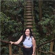 Profesora de primaria con experiencia. Todas las asignaturas