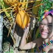 Spanish language teacher with experience in teaching the language at all levels