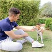 Profesor de Matemáticas en San Isidre, Valencia