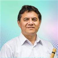 Profesor de Piano, Organo electrónico, quena, charango, y zampoña, para niños, jóvenes y adultos. Para clases personalizadas