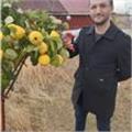 Uygun fiyatlı biyoloji dersleri veriyorum