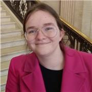 History tutor providing services to GCSE or KS3 students who are struggling and need some help based in northern Ireland