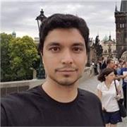 Profesor particular online o a domicilio. Matemática en Español o Inglés. También clases de Física basica