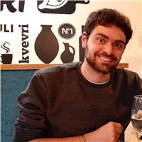 Dottore magistrale in linguistica e traduzione offre ripetizioni di spagnolo