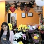 Tengo paciencia para enseñar desde nivel básico a avanzado de informática 