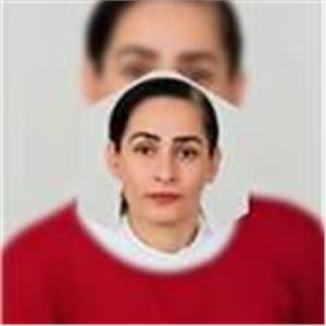 Atefeh Hosseini Safvvat