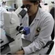 Profesora de biología para clases de español