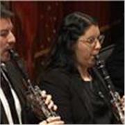 Clases personalizadas de Clarinete para todos los niveles