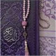 I am a friendly and experienced female Quran tutor offering online lessons for children, women, and beginners.