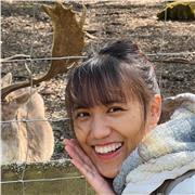 Erfahrener Muttersprachler bietet Chinesisch Nachhilfe & Übersetzung (flexibel & online)