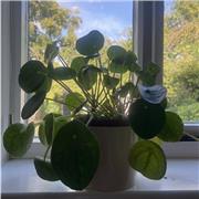 Oxford university student passionate about maths physics chemistry .